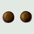 Tiger Eye Round Stud Earrings in Sterling Silver, shown on a sage mist background
