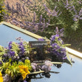 Wildflower Artisans round opal stud earrings set in sterling silver bezels, displayed on a mirror with purple flowers.