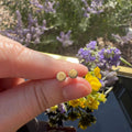 Yellow opal round stud earrings set in 14K gold