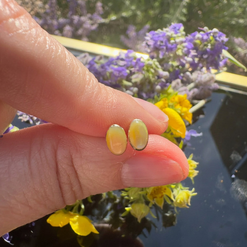 Warm yellow opal oval stud earrings set in 14K gold